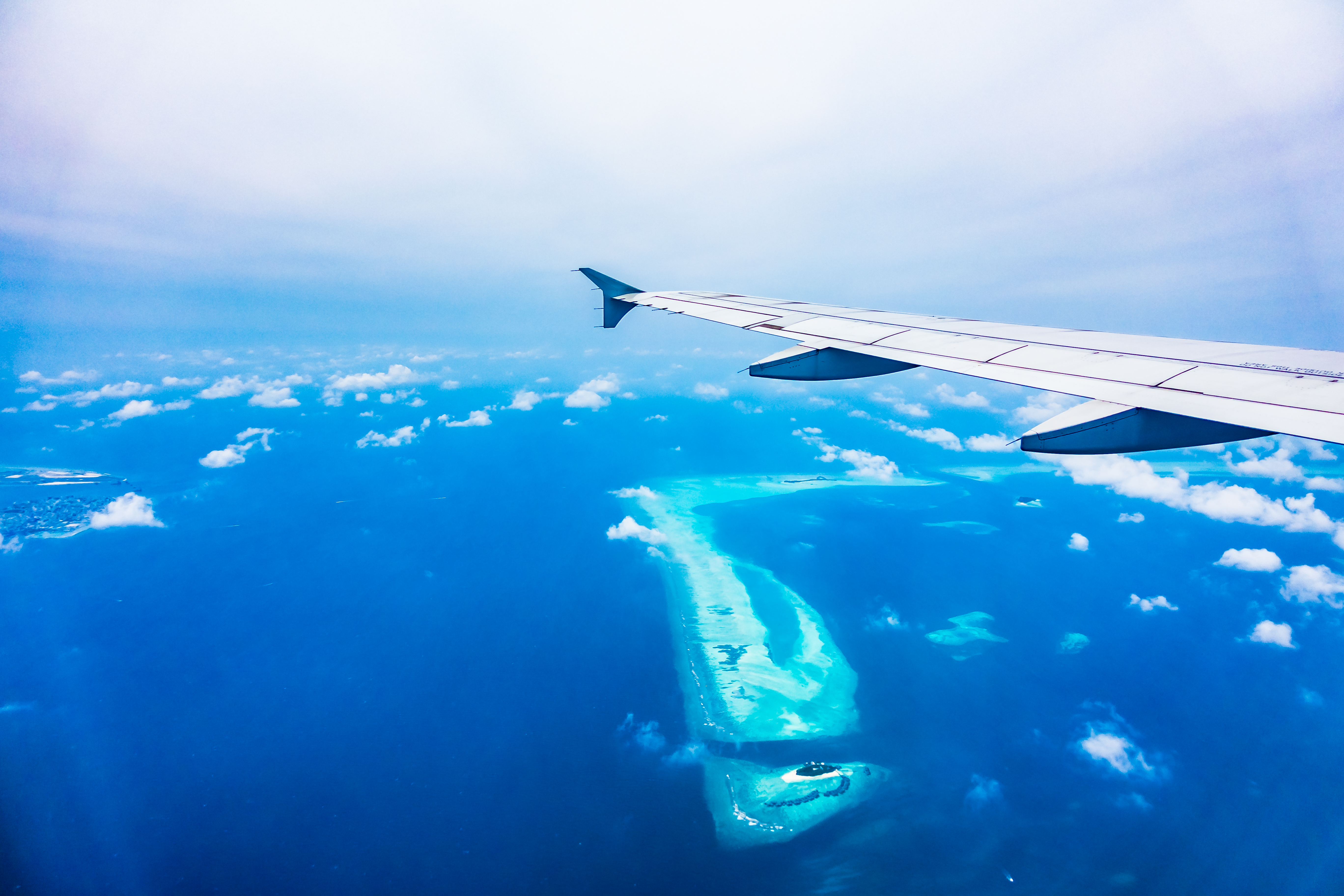 Avion Punta Cana Airlines